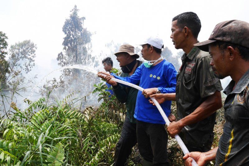 podiumnews.com-BRG Kembangkan Solusi Buka Lahan Gambut Tanpa Membakar